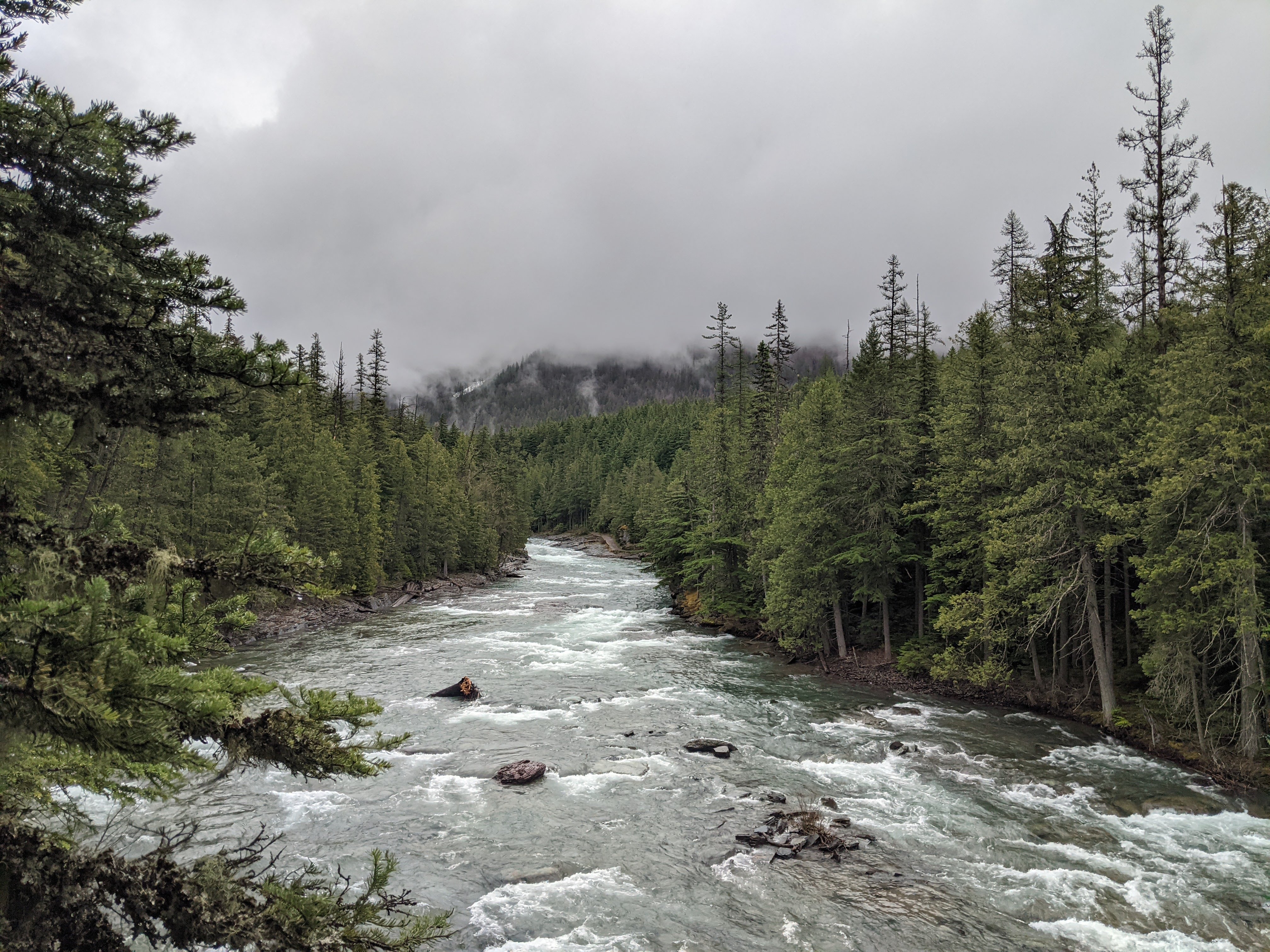 A river in Glacier National Park on a foggy morning